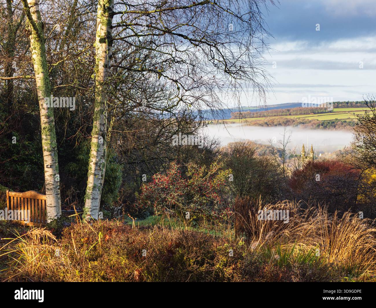 Blick über den Garden House Cottage Garden und Acer Glade auf die nebelige Landschaft hinter dem St. Andrews Kirchturm Stockfoto