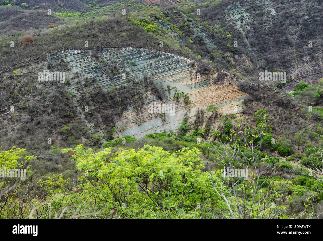 Schichten von Sedimentgesteinen aus der Kreidezeit im Calilegua-Nationalpark, Jujuy, Argentinien. Stockfoto