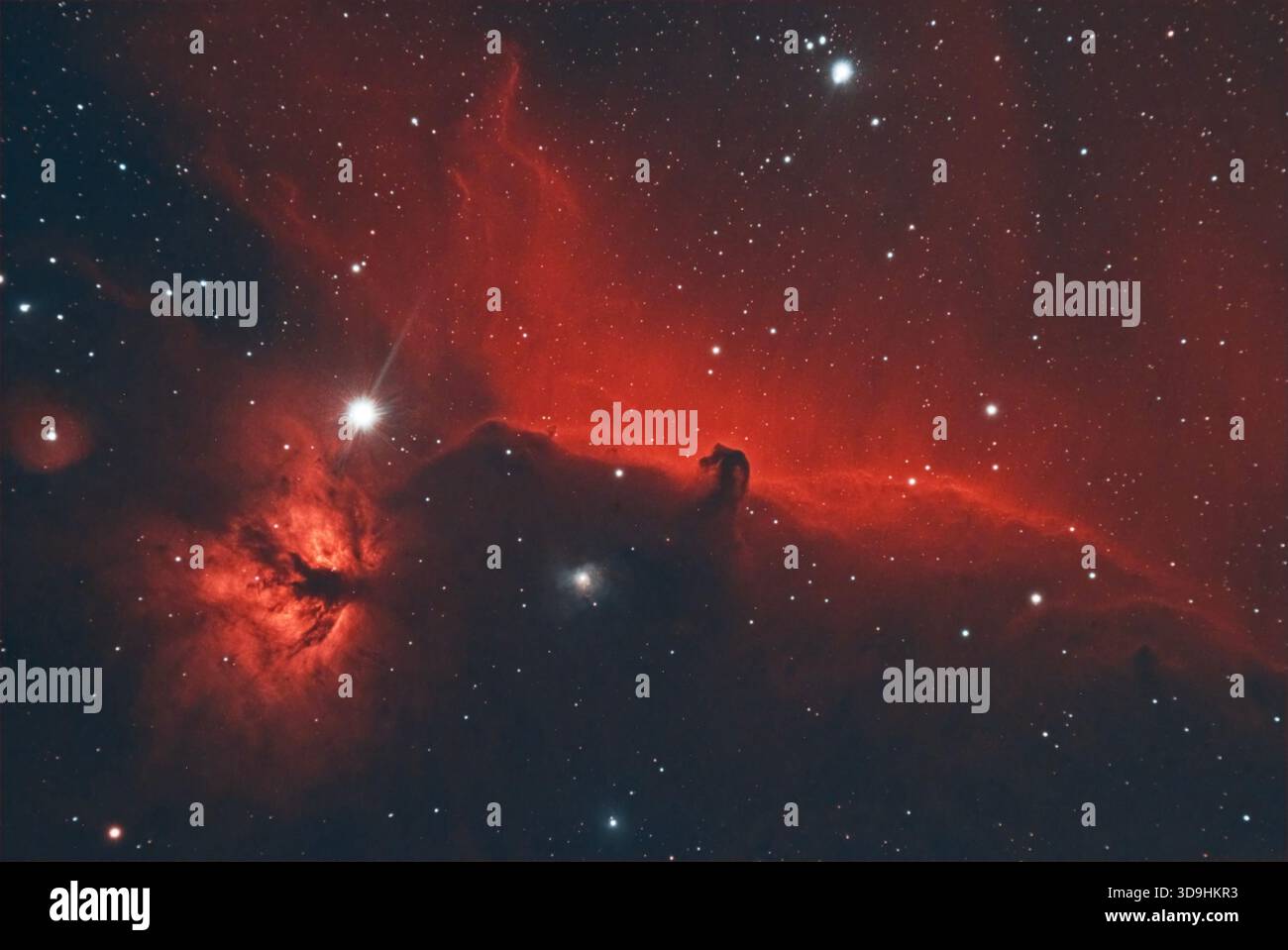 Horsehead-Nebel (B33) dunkler Nebel aus dichtem, kaltem molekularem Gas und Staub im Orion gegen die helle, purpurrote Emission der H-II-Hintergrundregion Stockfoto