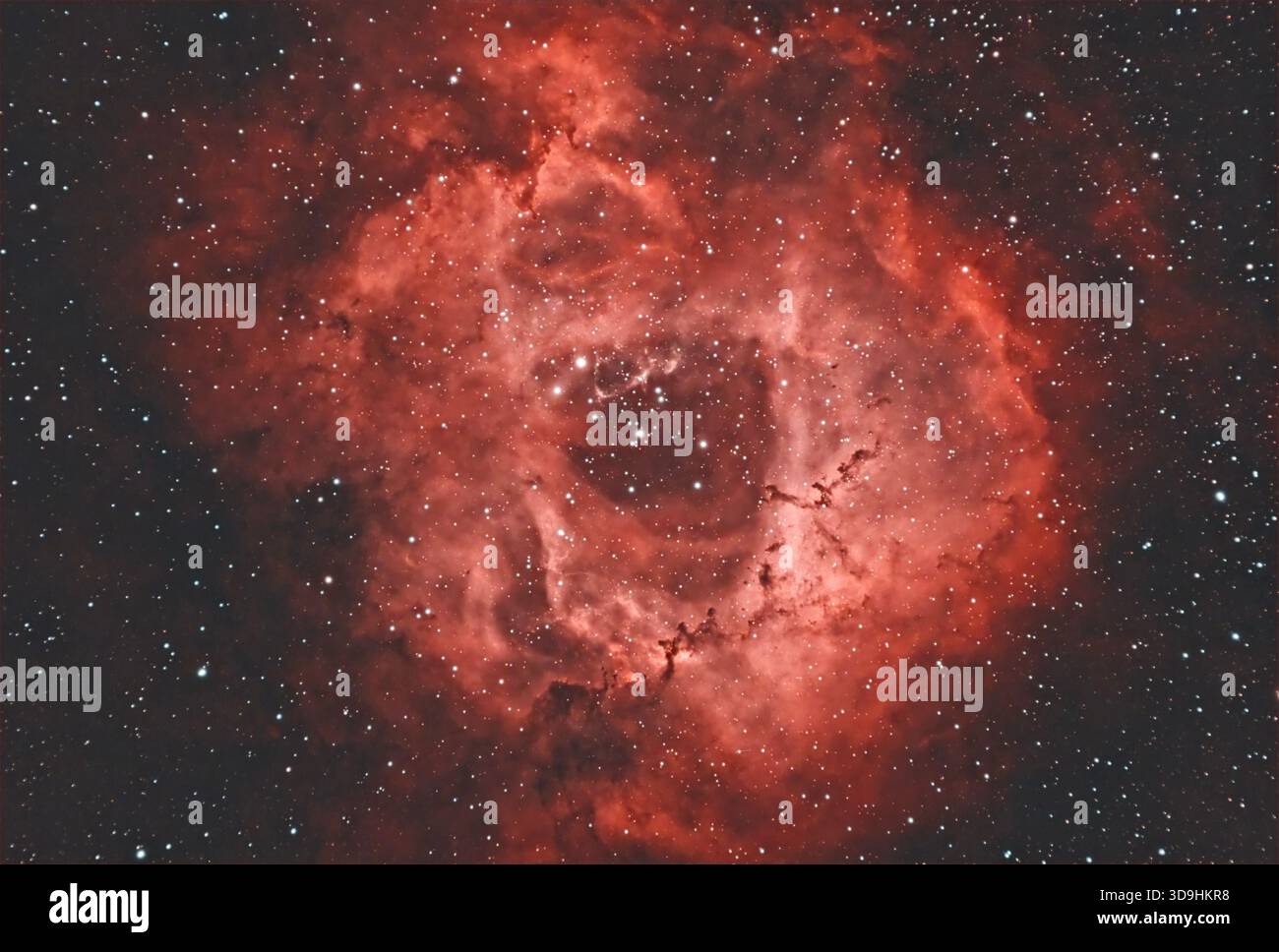 Rosettennebel (NGC 2237), HII-Region und Sternschule in Monoceros. Ionisiertes Wasserstoffgas leuchtet intensiv purpurrot und umgibt einen offenen Cluster Stockfoto