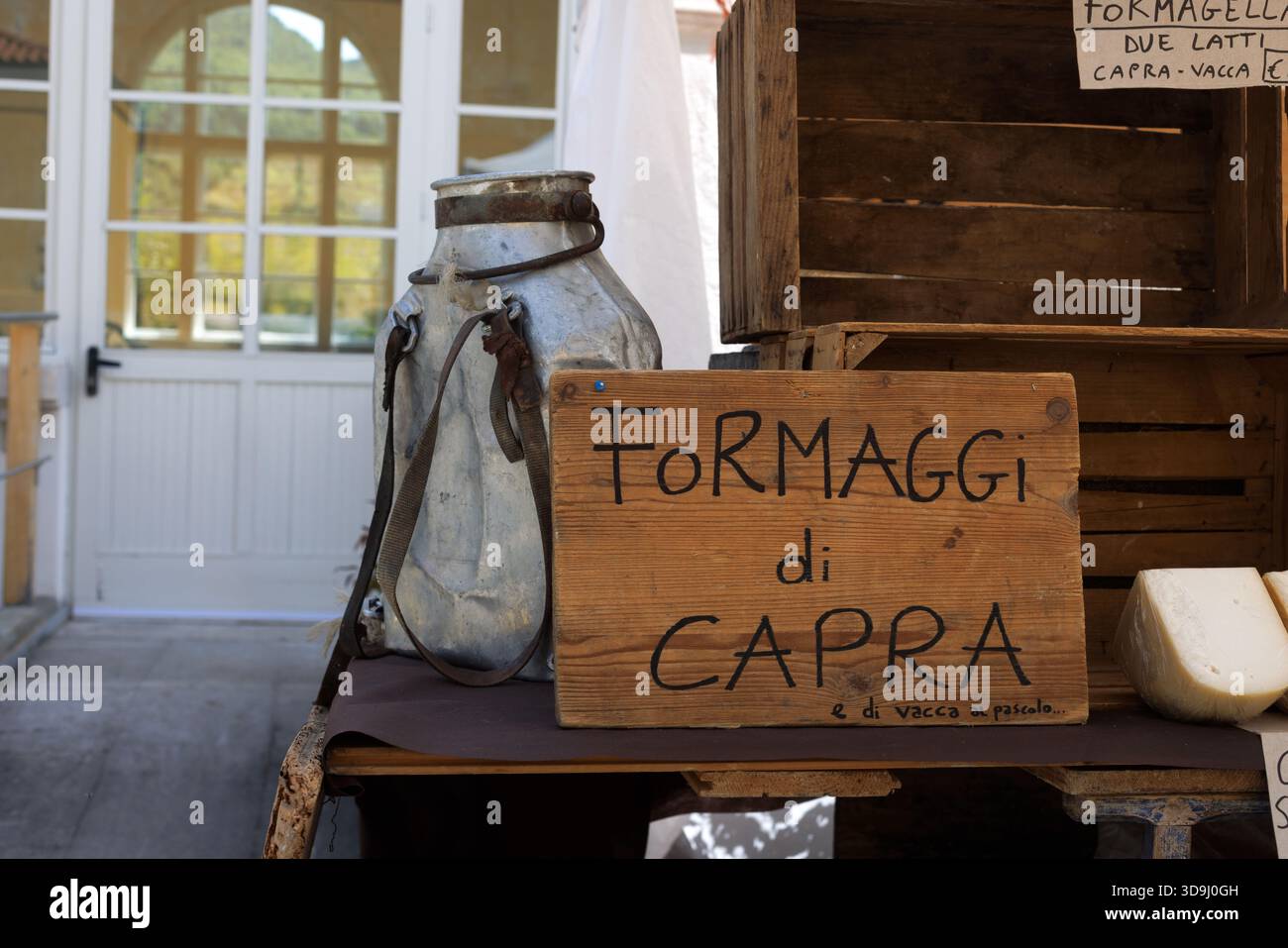 Hölzerne Schilder, die Ziegenkäse zum Verkauf anbieten, auf einem rustikalen Tisch im Freien mit einem alten Aluminium-Milchtransportbehälter ausgestellt. Ruft „Farm-to-tab“ hervor Stockfoto