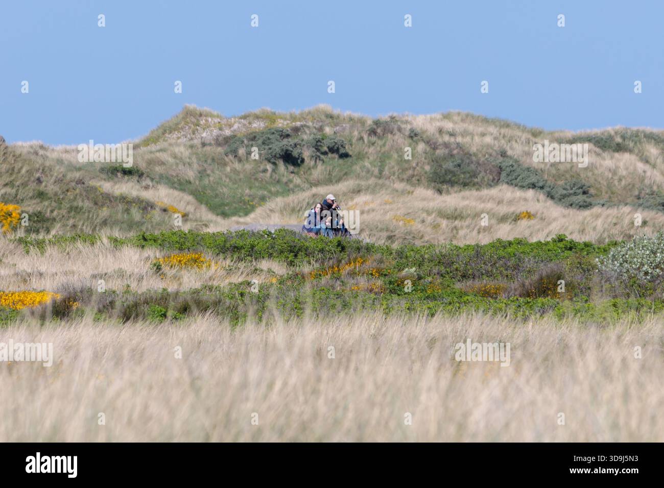 Ein Paar isst zusammen in den Dänischen Dünen Stockfoto