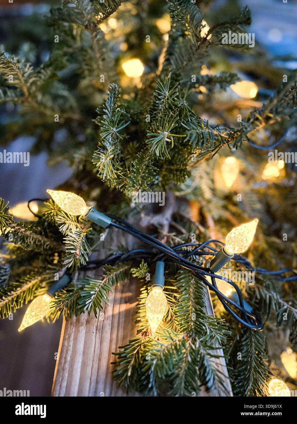 Eine Reihe von warmen Weihnachtslichtern beleuchtet die natürliche immergrüne Zweiggirlande in der kalten Winterszene. Stockfoto