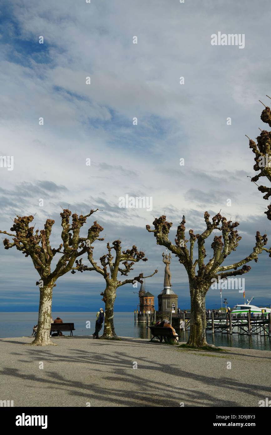 Malerischer Blick auf die Hafenpromenade Konstanz mit großen geschnittenen Platanen, die die Imperia-Statue und den historischen Pegelhäuschen-Turm am Co-See umrahmen Stockfoto