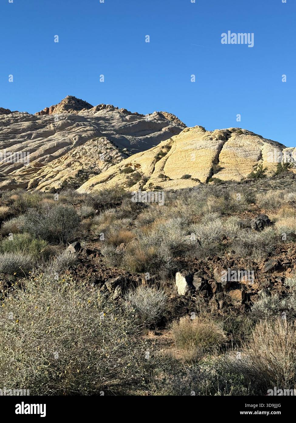 Zion National Park in Springdale, Utah. Herrliche malerische Fahrt mit dem Zion-Mount Carmel Highway. Atemberaubende rote und weiße Felsenklippen Stockfoto