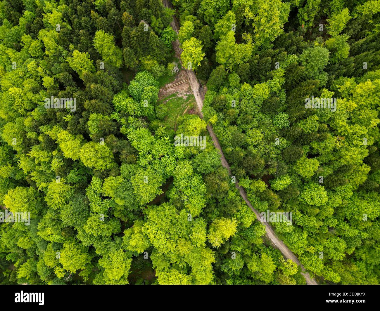 Wunderschöne und abstrakte Naturlandschaften von Bosnien und Herzegowina, mit surrealen Texturen, stimmungsvoller Landschaft und künstlerischen Interpretationen von Stockfoto