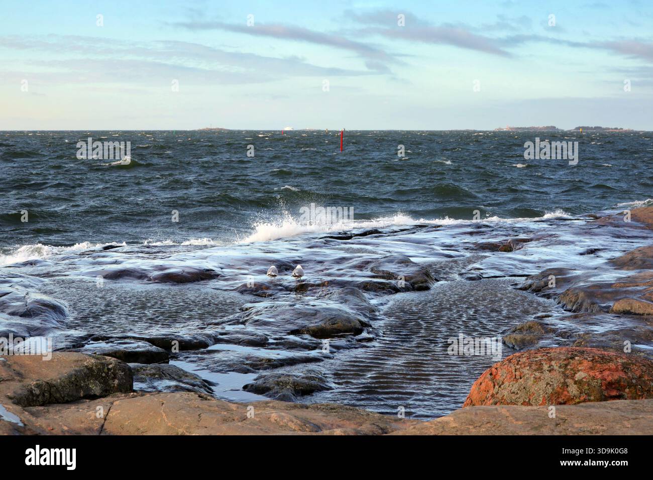 Blick auf den Horizont mit stürzenden Wellen und zwei Möwen, die das Meer beobachten. Helsinki, Finnland. April 2021. Stockfoto