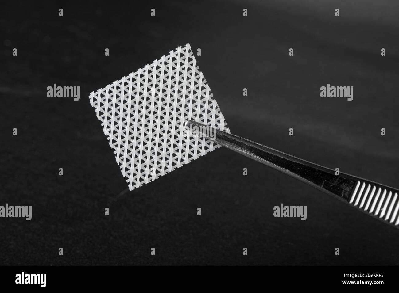 3D-gedruckte kontinuierliche Flachsfaser-verstärkte Biokomposite zelluläre Gitterstrukturen Stockfoto