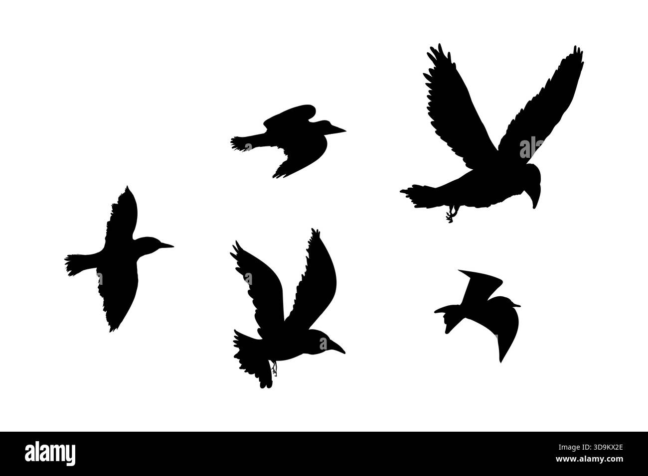 Fliegende Vogelschwärme Silhouette, einfache Schwalben im Flug, Krähen am Himmel. Gruppe von Vögeln Grenze. Vektorabbildung Stock Vektor