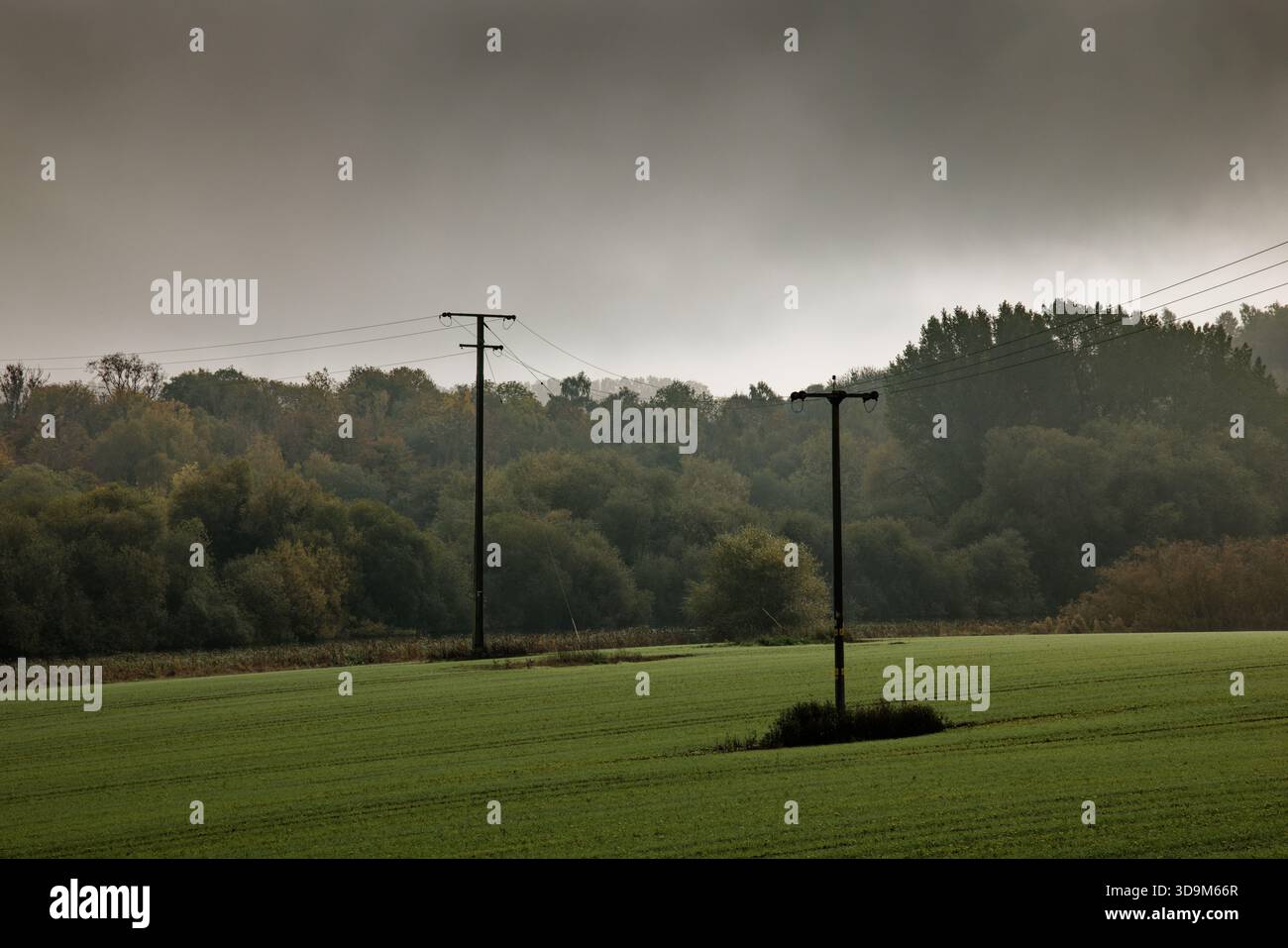 Zwei Pylonen tragen Stromkabel über Ackerland zu den Bäumen eines Waldes im Hintergrund an einem nebeligen Tag, Sprotbrough, Doncaster. Stockfoto