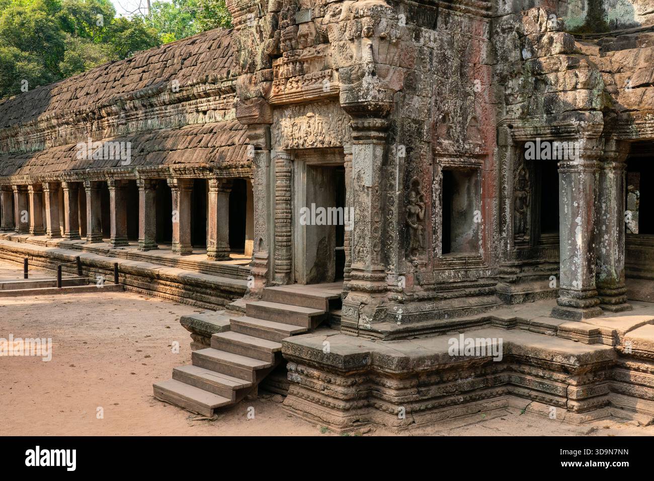 Ta Prohm Tempel, Angkor, Kambodscha. Stockfoto