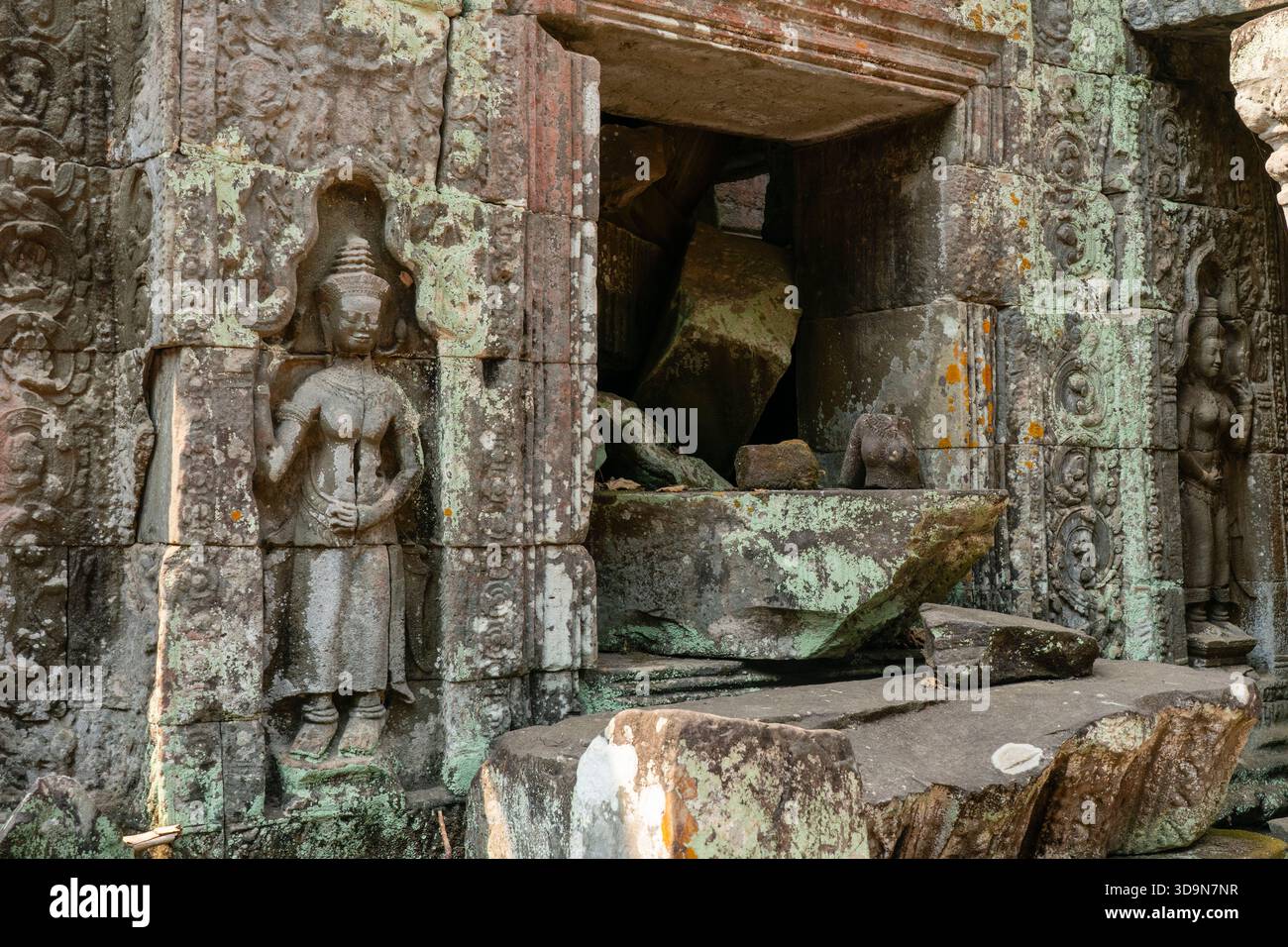 Ta Prohm Tempel, Angkor, Kambodscha. Stockfoto