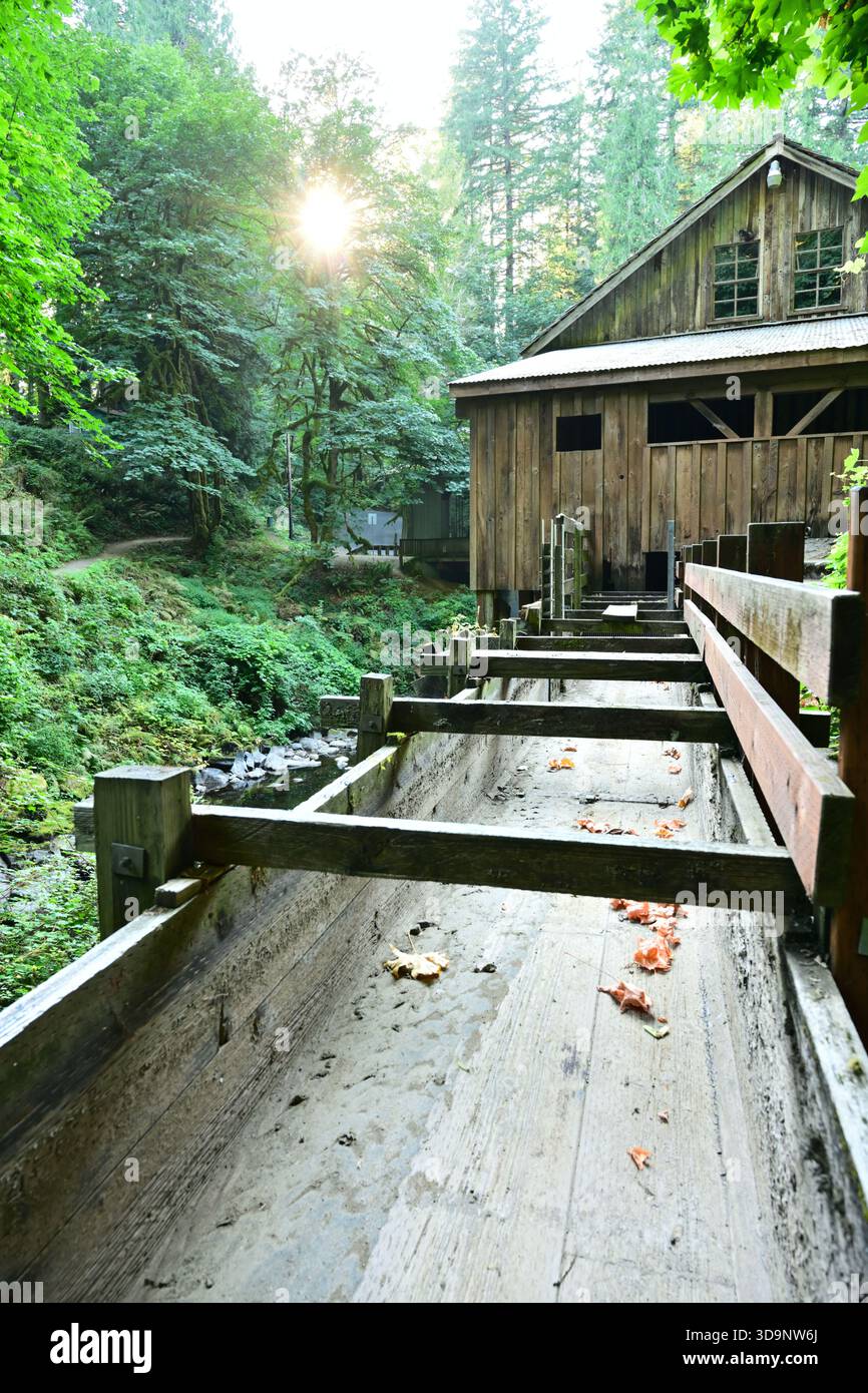 Der Kanal, der Wasser für die Cedar Creek Grist Mill in der Nähe von Woodland, WA, USA, liefert. Stockfoto
