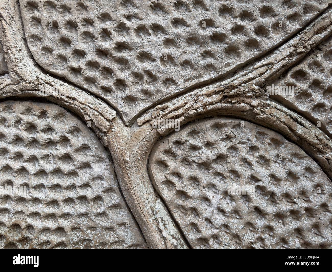 Organische strukturierte Wandmuster mit plastischen Reliefformen, architektonische Details aus nächster Nähe - Smartphone-aufgenommenes Stockfoto