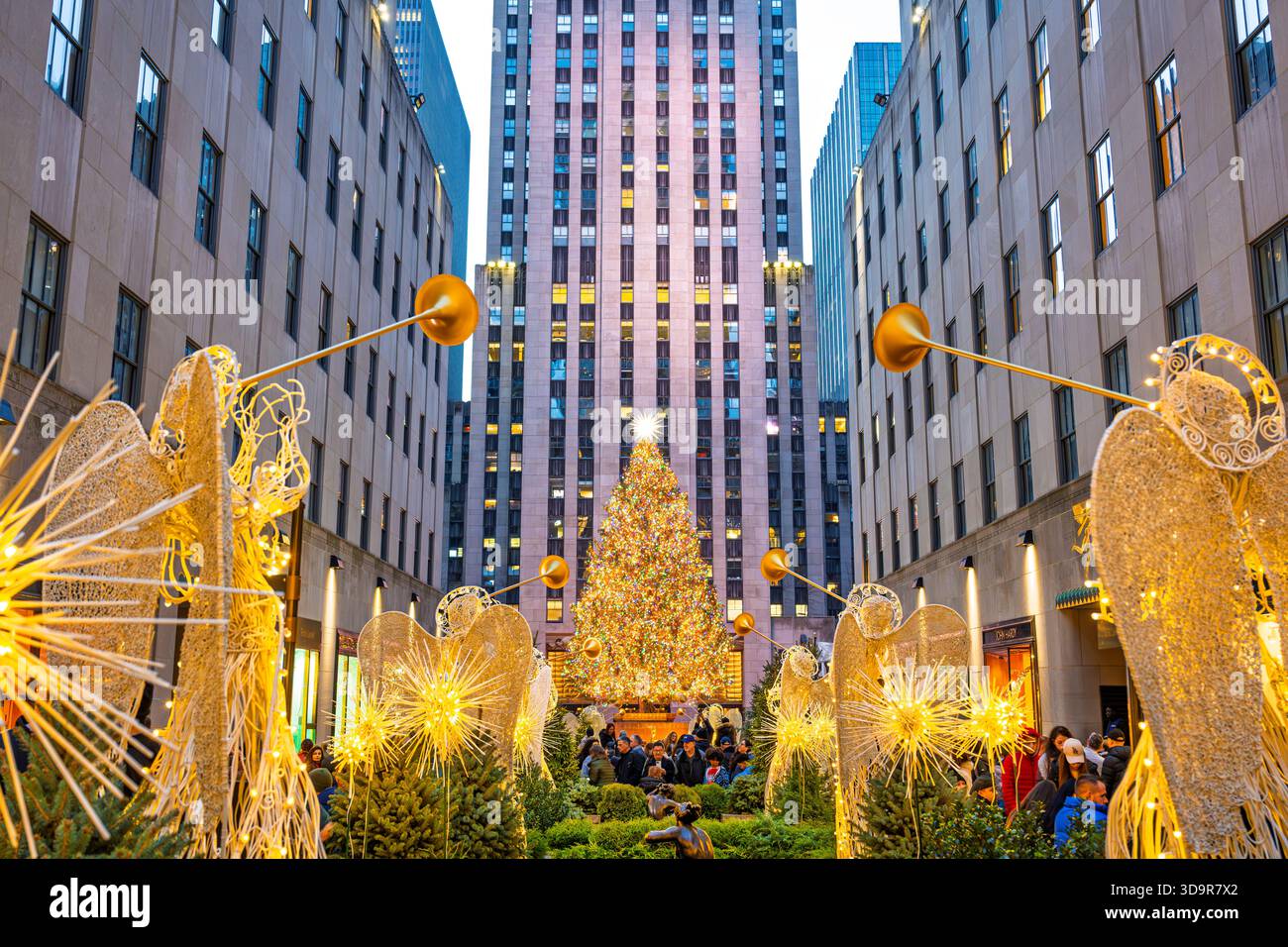 Christmas Tree am Rockefeller Plaza vor dem 30 Rock, von den Channel Gardens aus gesehen, New York City. Stockfoto