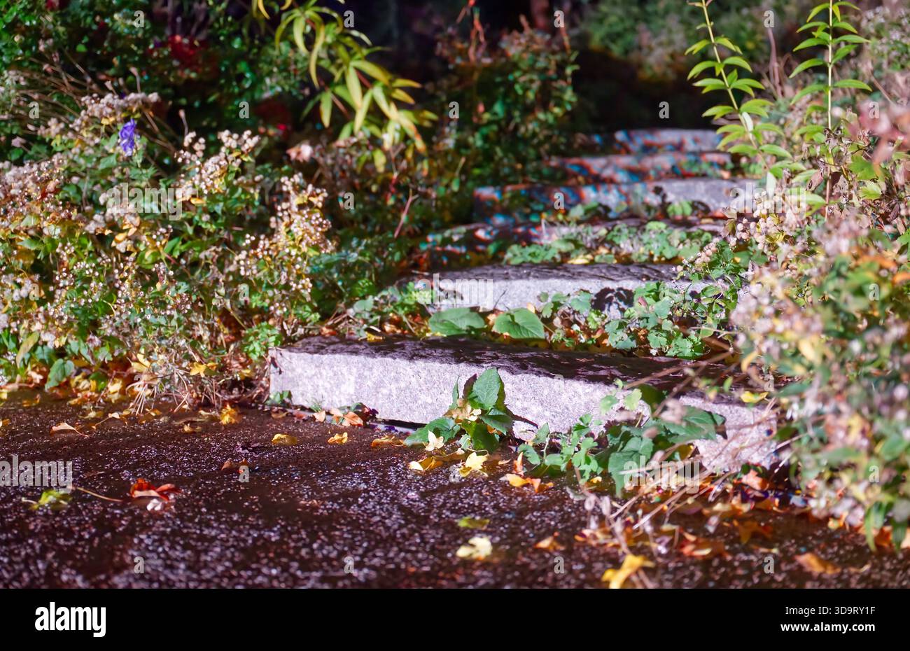 Ein ruhiger Gartenweg aus Steintreppen, umgeben von üppigem Grün und farbenfrohen Pflanzen. Die Szene wird sanft beleuchtet und zeigt gefallenen Urlaub Stockfoto