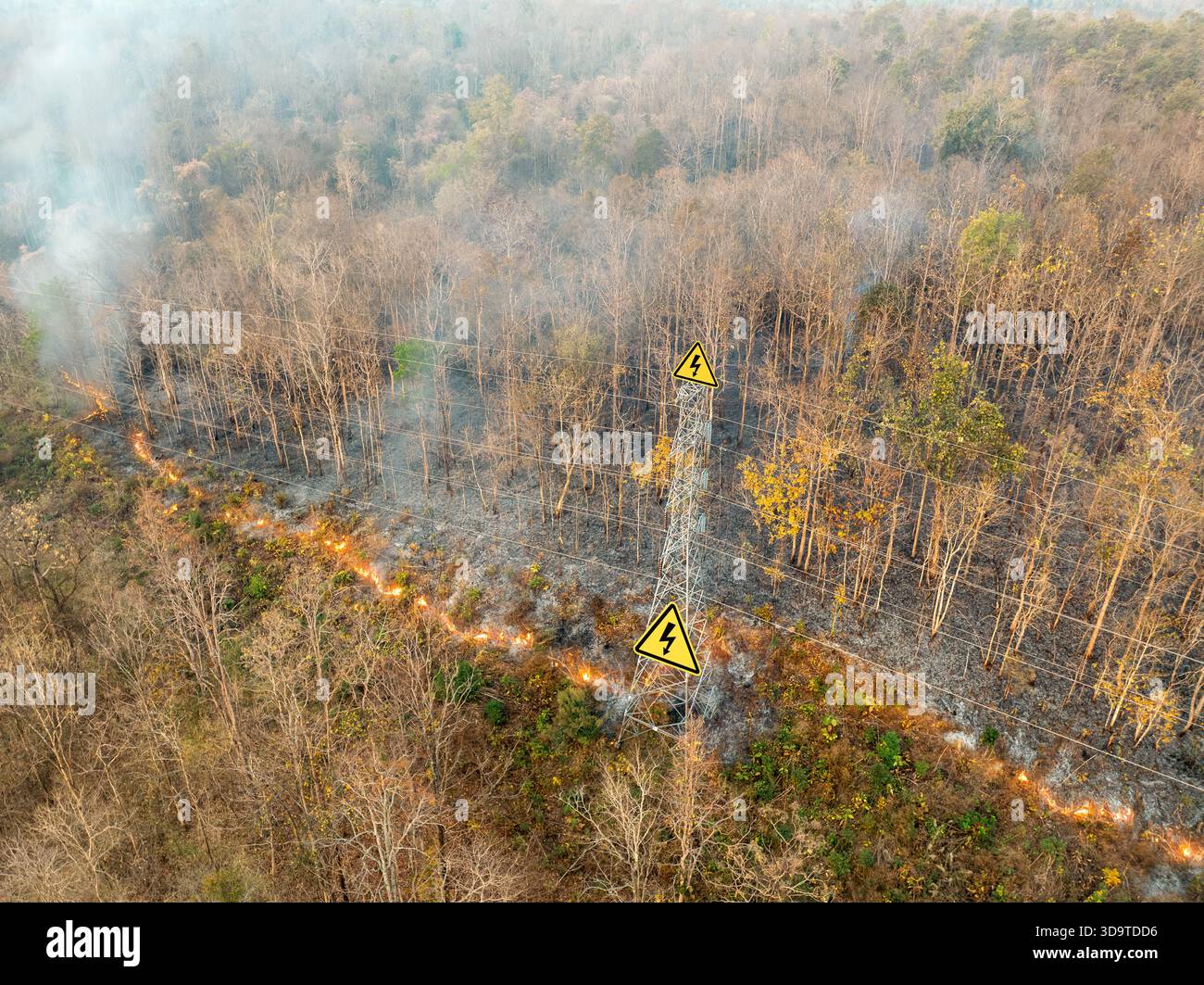 Buschfeuer brennt in der Nähe der Stromübertragungsturmleitung. Stockfoto