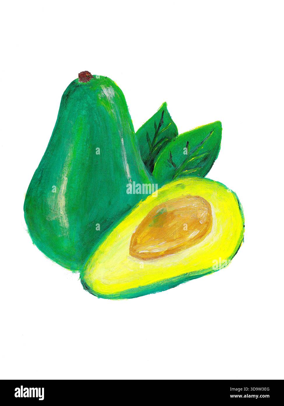 Acrylgemälde von Avocado isoliert auf weißem Hintergrund Stockfoto