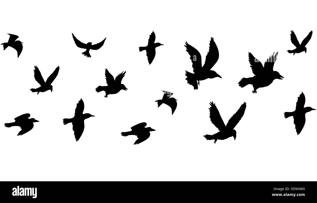 Fliegende Vogelschwärme Silhouette, einfache Schwalben im Flug, Krähen am Himmel. Gruppe von Vögeln Grenze. Vektorabbildung Stock Vektor