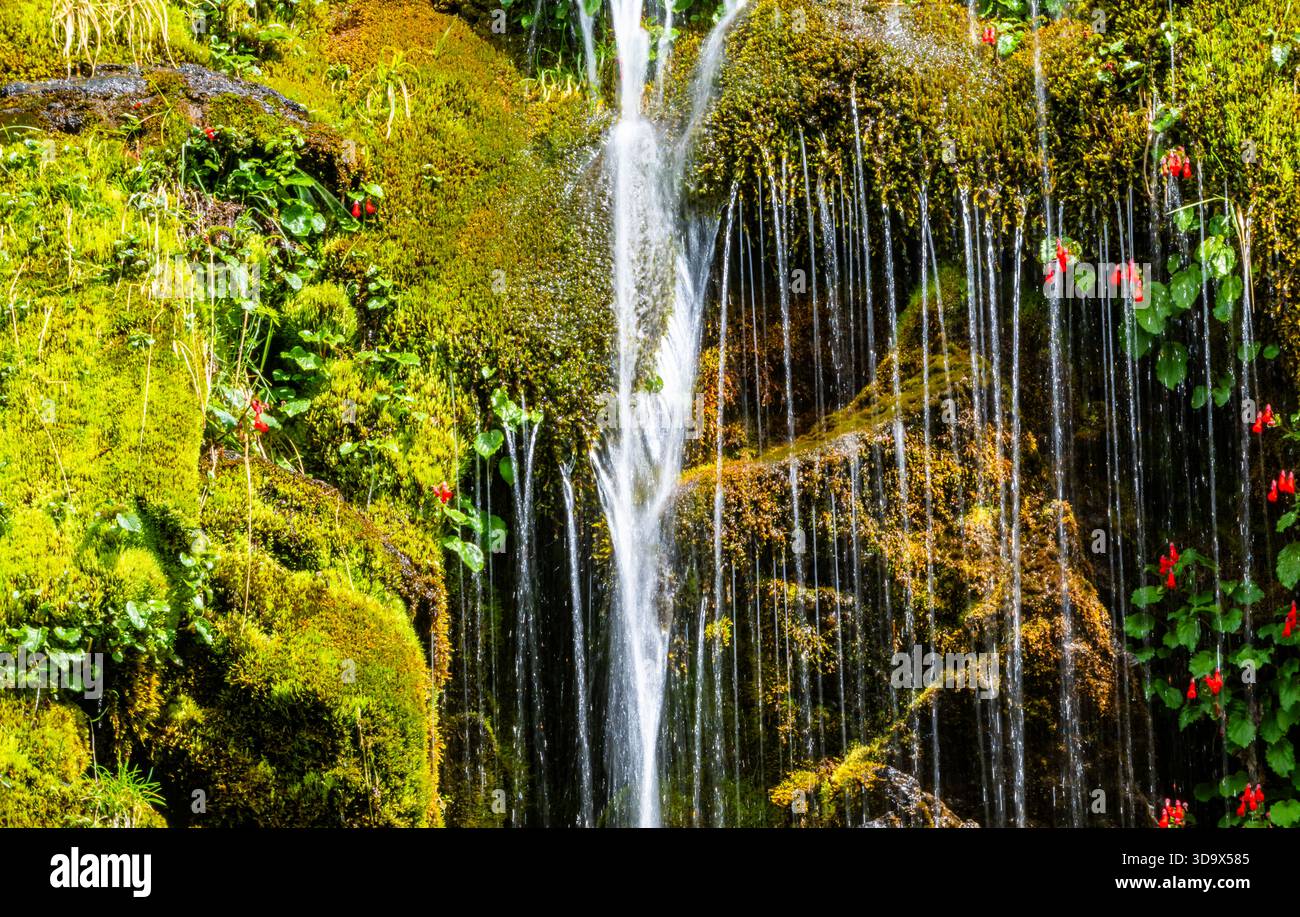 Wasser tropft auf moosbedeckte Felsen an einer Gebirgskaskade. Santa Cruz, Argentinien. Stockfoto