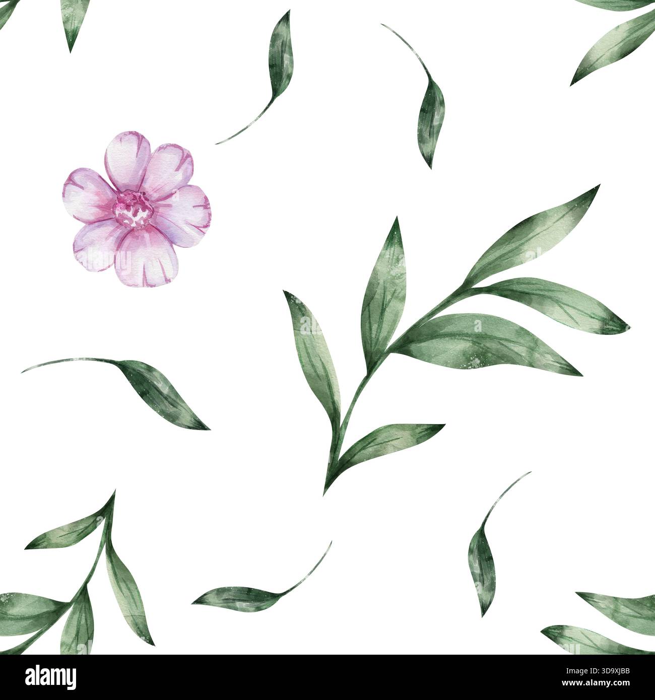Zarte rosafarbene Kosmos-Blüten mit grünen Zweigen in nahtlosem Aquarellmuster. Das luftige und feminine botanische Design ist handgezeichnet auf weißem Hintergrund. Für Frühjahrtapeten, Stoffdrucke, Hochzeitsdekor Stockfoto