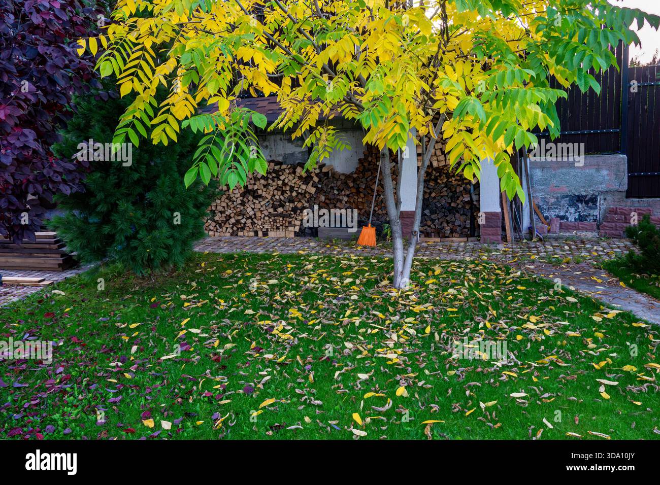 Weite Aufnahme mit lebendigen Blattstreu auf Gras im Kontrast zu strukturierten Gartenelementen, selektiver Fokus Stockfoto