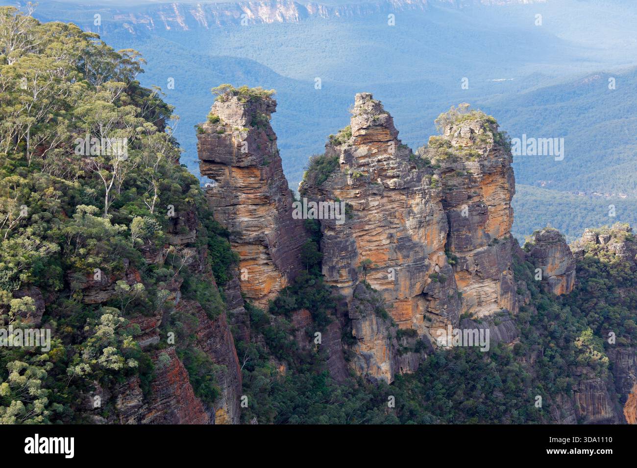 Blick auf die berühmten drei Schwestern in den blauen Bergen, New South Wales, Australien Stockfoto