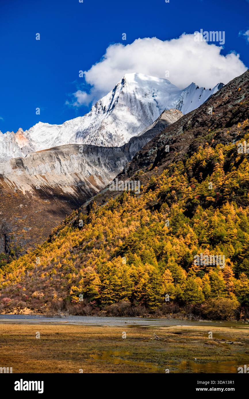 Schneebedeckter heiliger Berg im Yading Nature Reserve, Daocheng County, Ganzi Tibetische Autonome Präfektur, Sichuan, China Stockfoto