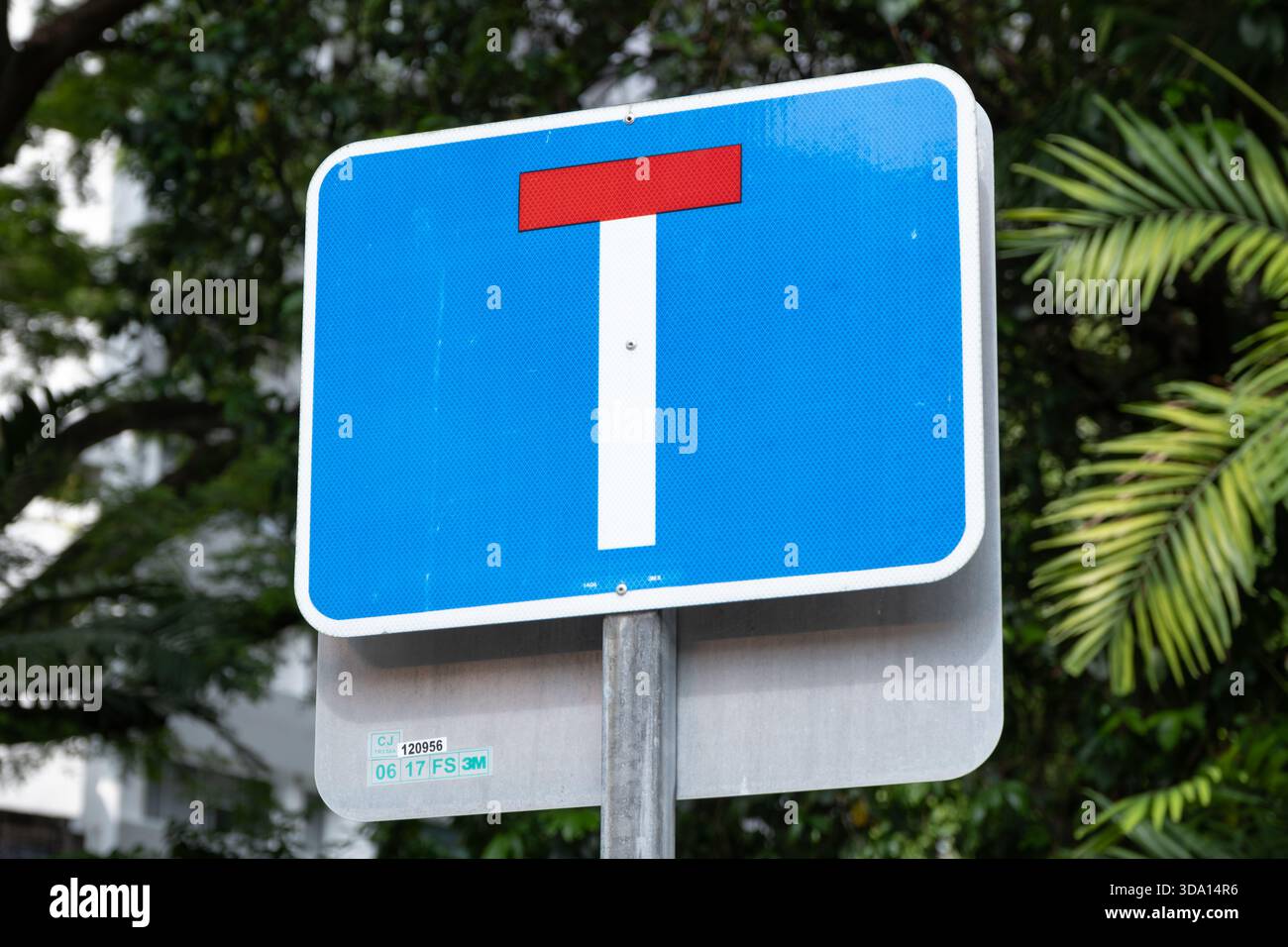 T-Kreuzung Straßenschild in Orchard Road, Singapur, sichtbar, umgeben von üppigem Grün, zeigt die Richtung und die städtische Landschaft an Stockfoto