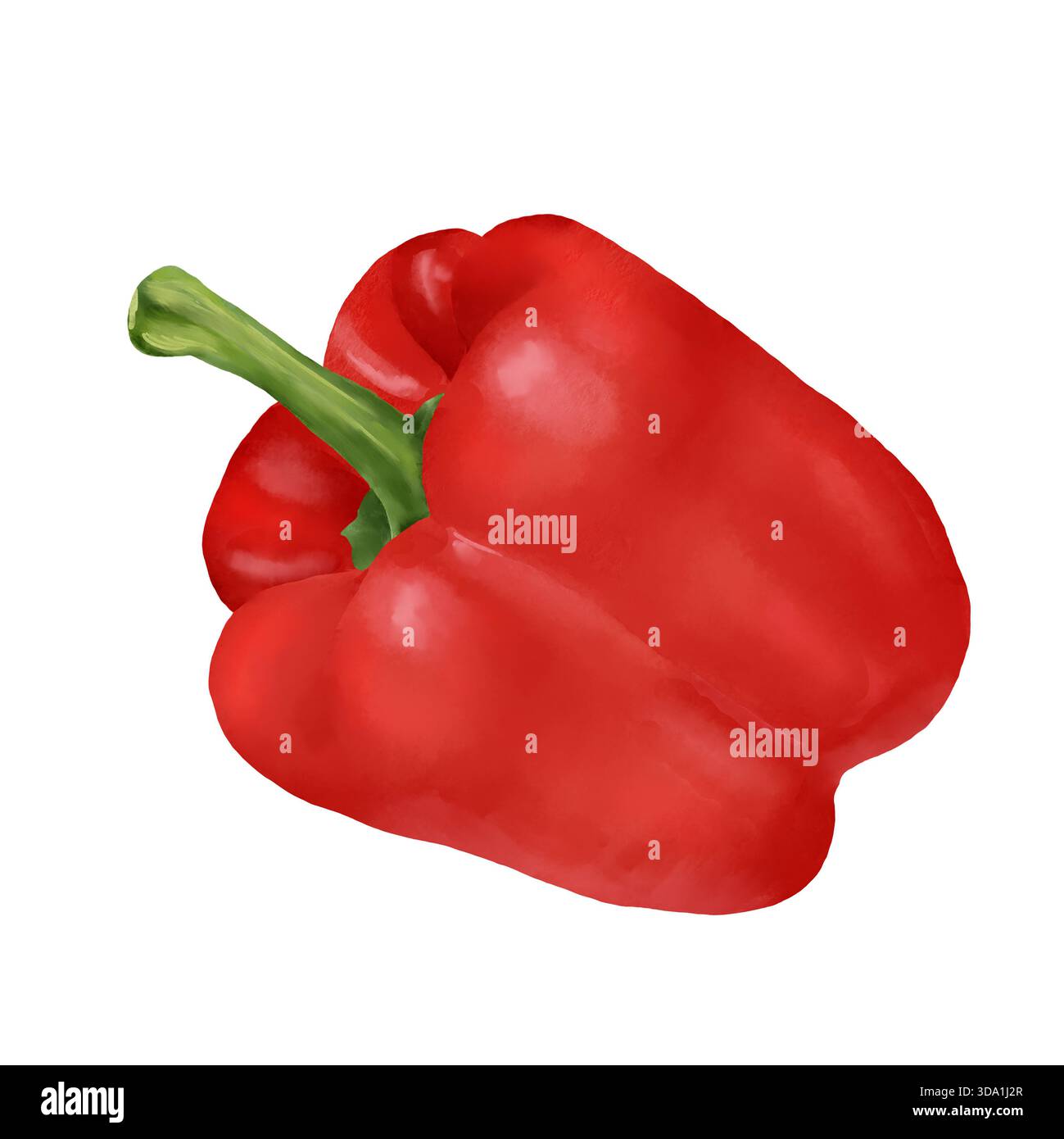 Rote Paprika. Digitale Illustration mit Aquarell. Reifes, gesundes Bauerngemüse, isoliert auf weißem Hintergrund. Hochwertige Fotos Stockfoto