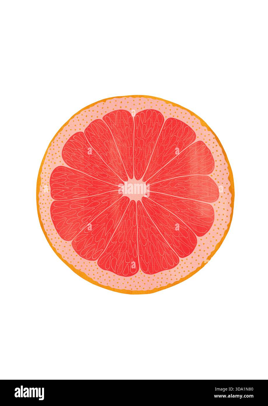 Handbemalte Gouache-Grapefruit auf transparentem Hintergrund. Lebendige Zitrustextur mit ausdrucksstarken Pinselstrichen. Perfekt für umweltfreundliche Verpackungen, gesundes Leben Stockfoto