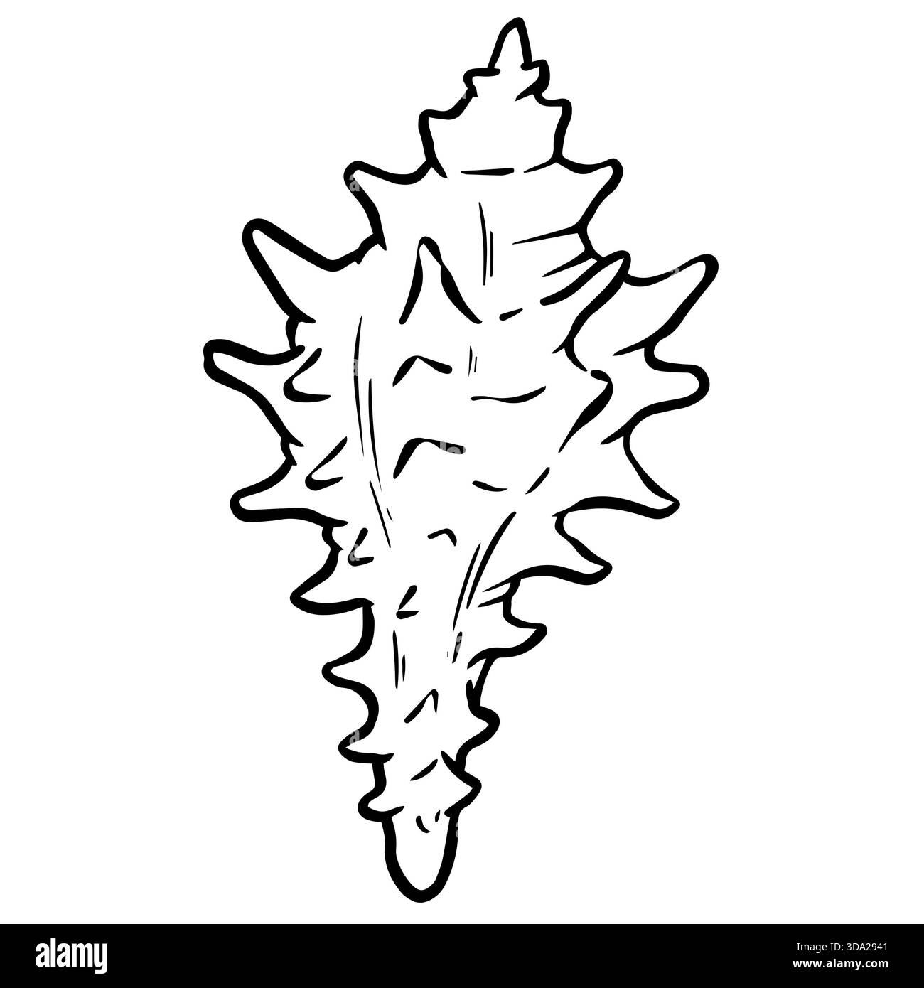 Handgezeichnete Clipart-Illustration von Muschelmuscheln am Meer Stockfoto