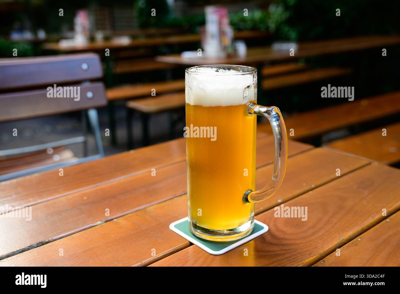 Bierkrug mit einem halben Liter oder einem Pint Pils in einem deutschen Biergarten Stockfoto