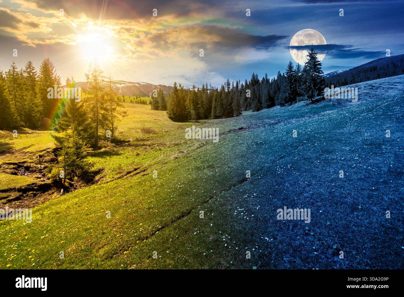 Wiesen- und Tannenwald in Bergen. Tag- und Nachtzeitwechsel. Schneebedeckter Bergrücken mit Sonne und Mond in der Dämmerung. Frühlings-Tagundnachtgleiche Wetter mit cl Stockfoto