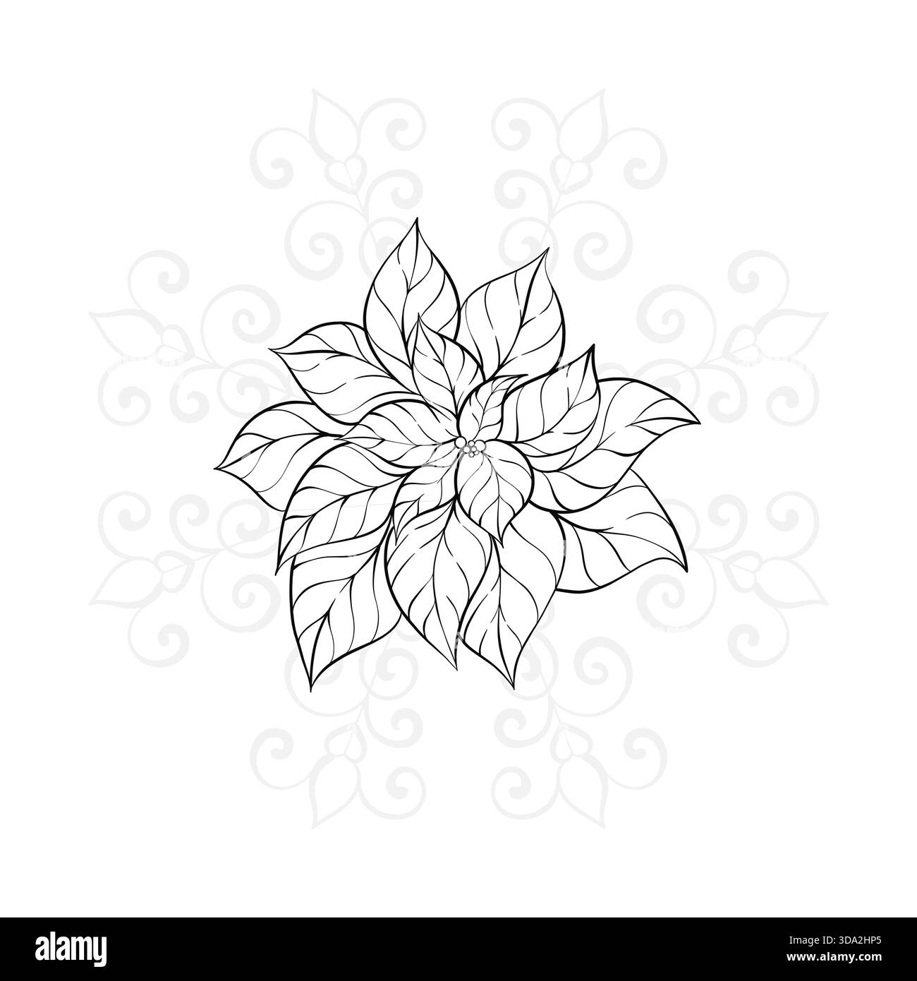 Weihnachtsstern Pflanze mit detaillierten Blattmustern elegantes Design zum Färben künstlerischer Ausdruck für Entspannung und Kreativität Stock Vektor