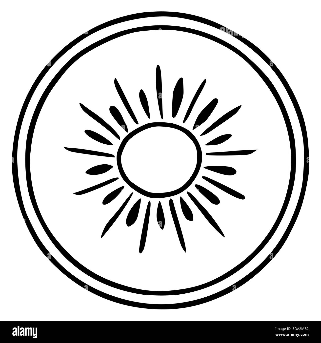 Minimalistische Vektor-Illustration eines Sonnenausbruchs innerhalb eines doppellinigen Kreises, der eine stilisierte Kiwi-Scheibe darstellt. Stock Vektor