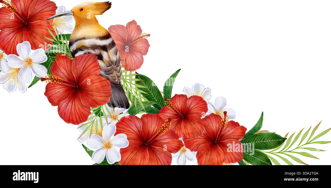 Aquarellbanner Rahmen mit tropischem Wiedehopf Vogel, roten Hibiskusblüten, Plumeria und üppigen Blättern auf weißem Hintergrund, ideal für Sommereinladungen, Grußkarten, Poster und botanische Dekoration. Stockfoto