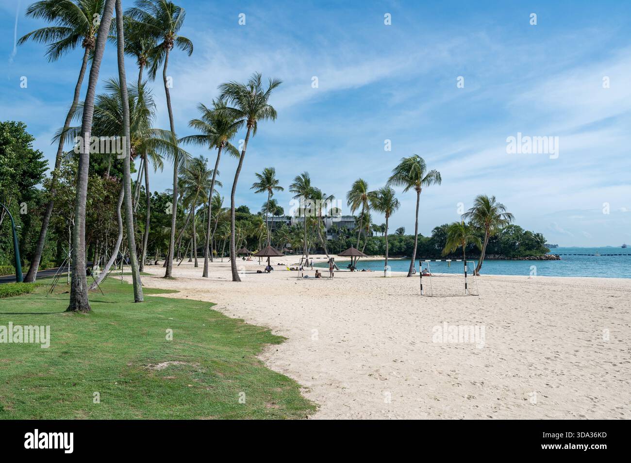29.11.2025, Singapur, Republik Singapur, Asien - Palmen am Strand von Tanjong Beach auf der Insel Sentosa. *** 29 11 2025, Singapur, Republik Singapur, Asien Palmen am Tanjong Beach auf Sentosa Island Stockfoto