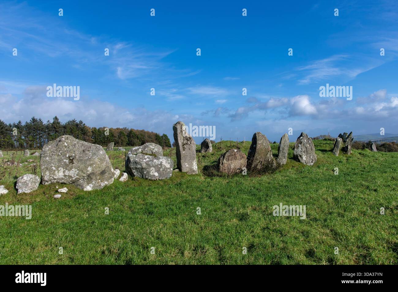 Einige der 64 Steine des bronzezeitlichen Beltany Steinkreises in der Nähe von Raphoe Town im County Donegal, Irland, ab 2100-700 v. Chr., eine heilige Stätte des neolithischen Monuments Stockfoto