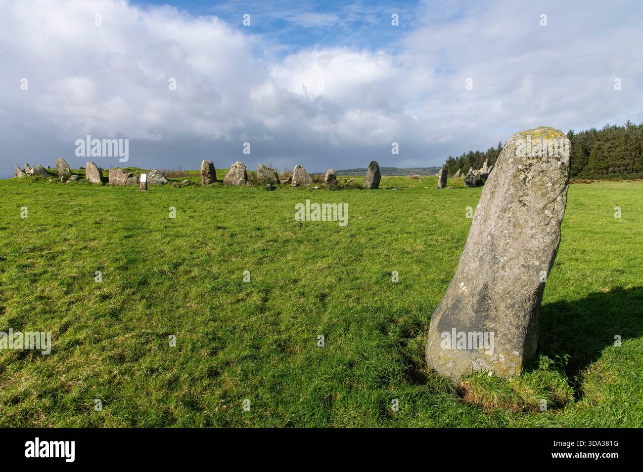 Einige der 64 Steine des bronzezeitlichen Beltany Steinkreises in der Nähe von Raphoe Town im County Donegal, Irland, ab 2100-700 v. Chr., eine heilige Stätte des neolithischen Monuments Stockfoto