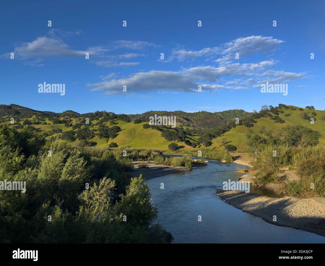 Der Cache Creek verläuft durch die sanften, von Eichen gesäumten Hügel des Capay Valley in Kalifornien Stockfoto