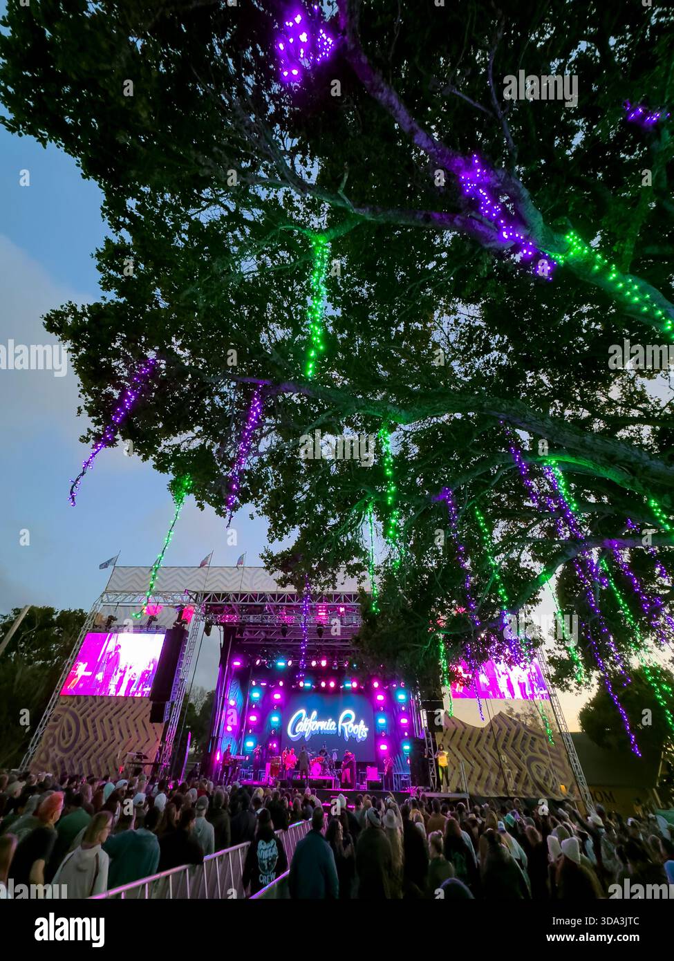 Sonnenuntergang mit Lichtern in den Bäumen beim Cali Roots Konzert 2024 in Monterey, Kalifornien Stockfoto