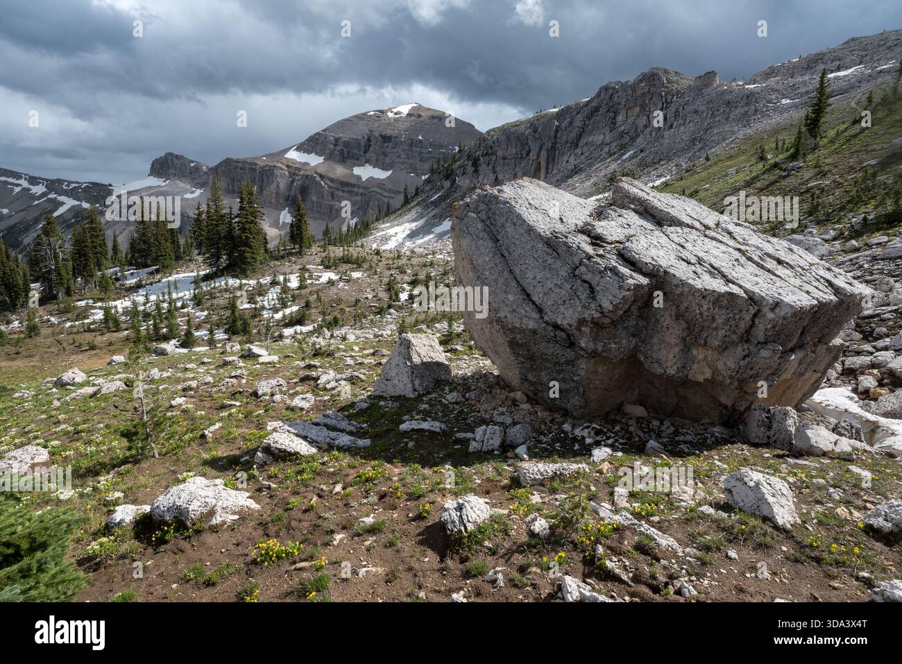 Bergwiesen in der Bob Marshall Wilderness, Montana, USA. Stockfoto