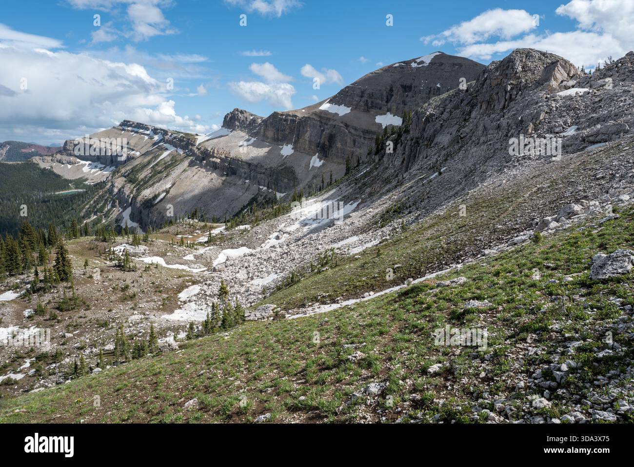Bergwiesen in der Bob Marshall Wilderness, Montana, USA. Stockfoto