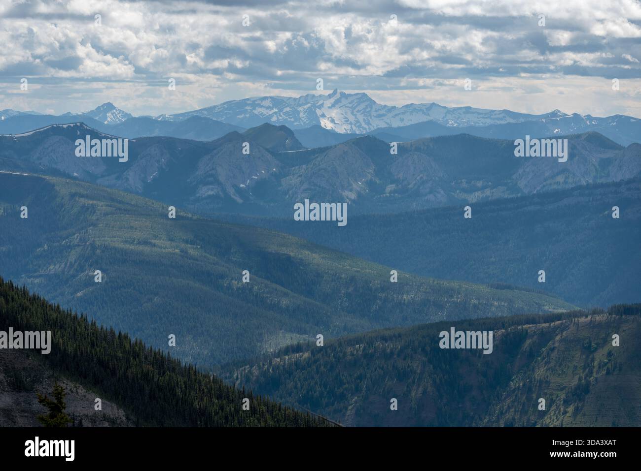 The Great Bear Wilderness, Montana, USA. Stockfoto