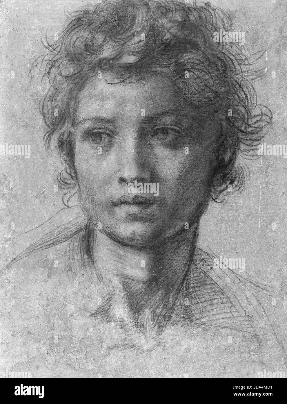 Kopf des Heiligen Johannes des Täufers, 1523, von Andrea del Sarto Stockfoto