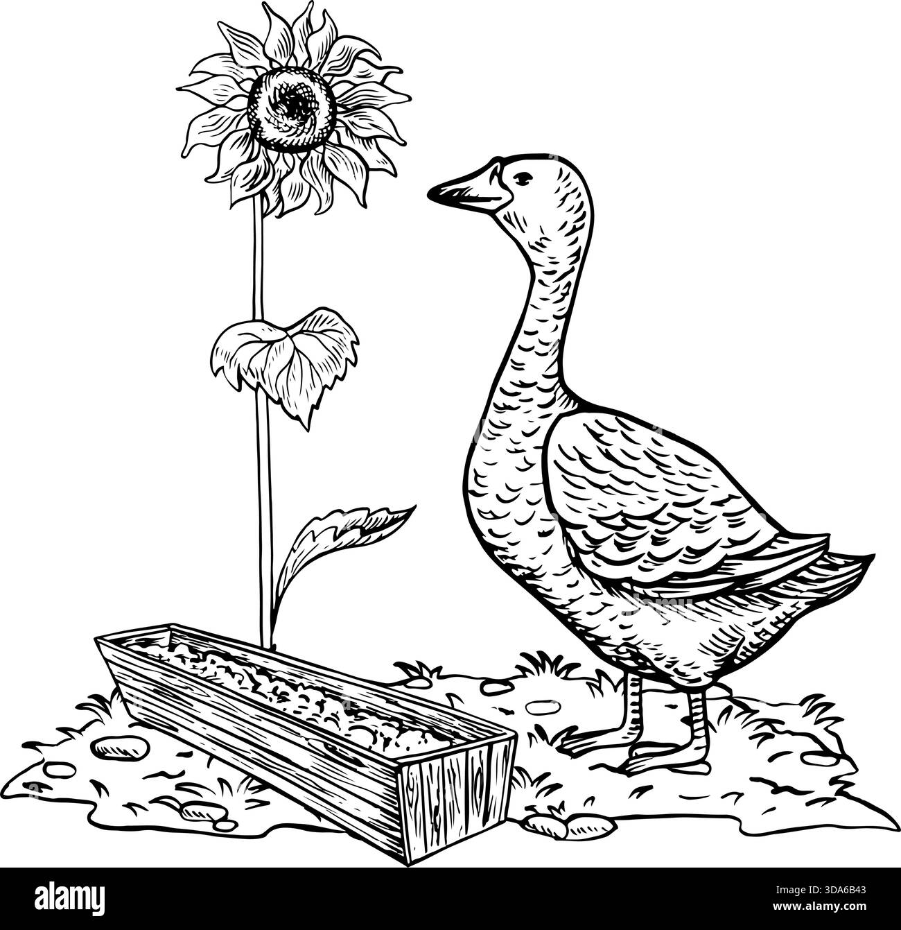 Eine Gans, die Essen aus einem Holzfutterhäuschen isst. Handgezeichnete Schwarz-weiß-Vektorillustration. Designelement für Verpackungen, Etiketten und Banner. Außerdem Stock Vektor