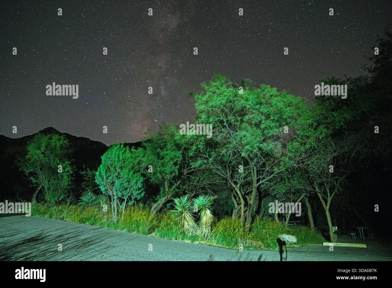 Milchstraße über die Santa Rita Berge Stockfoto