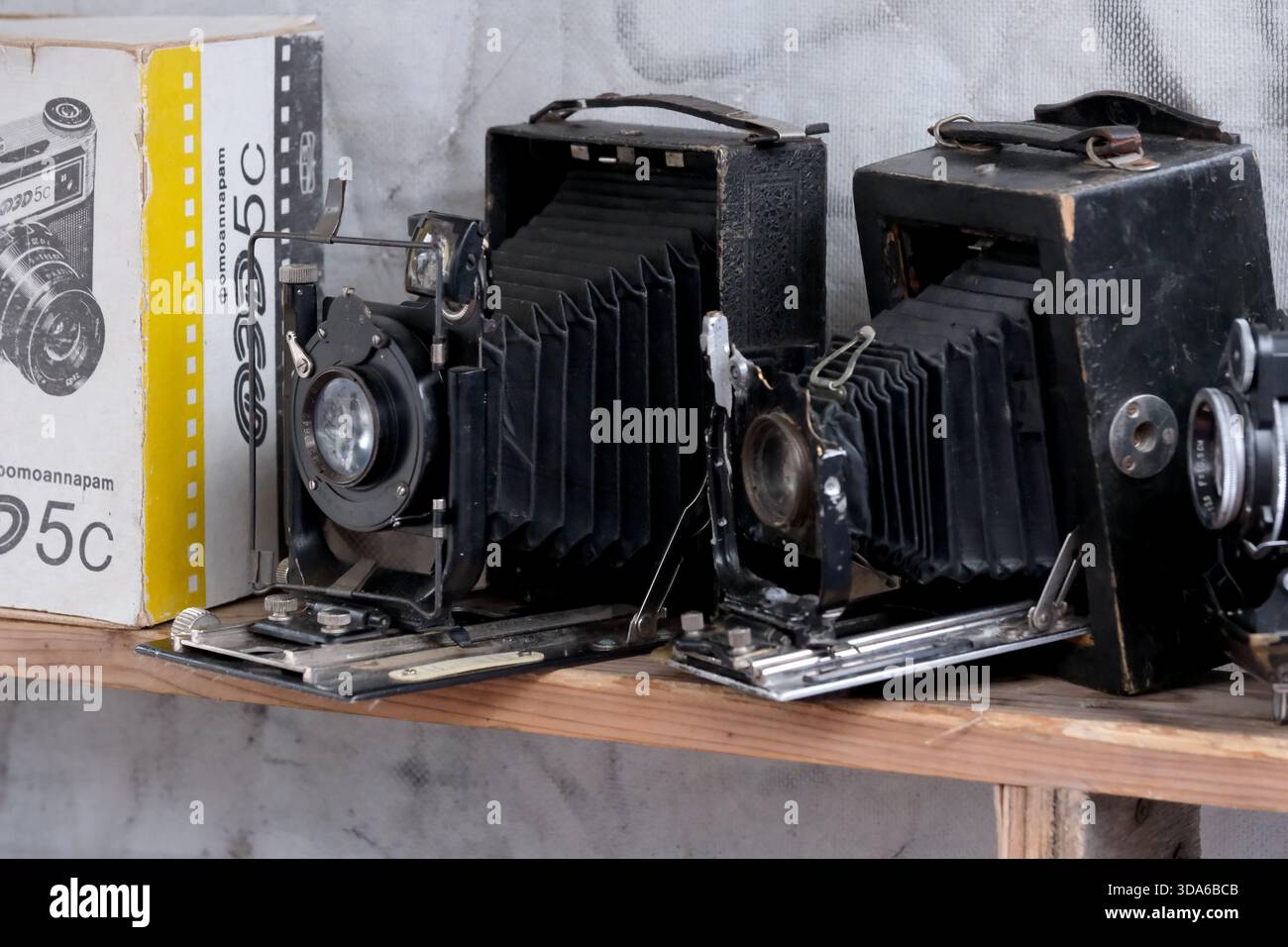 Alte Kameras ruhen auf einem Holzregal und erinnern an zeitlose Fotografie. Stockfoto