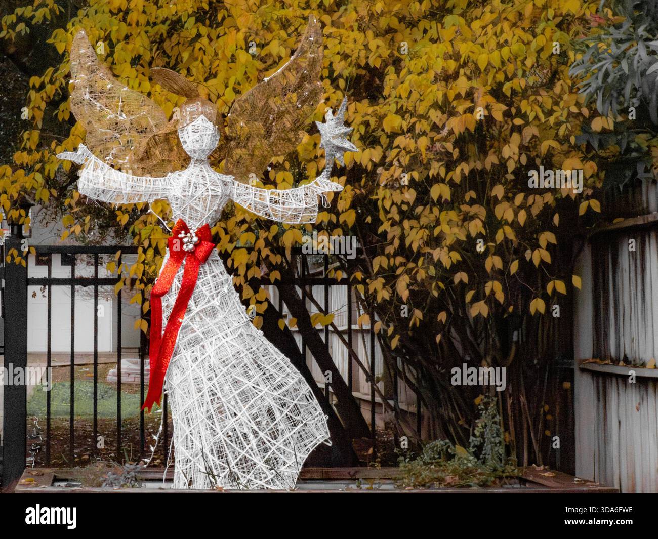 Drahtenengel mit einem leuchtend roten Bogen hält einen Stern vor goldenem Herbstlaub, einem fröhlichen Feiertagshof. Stockfoto